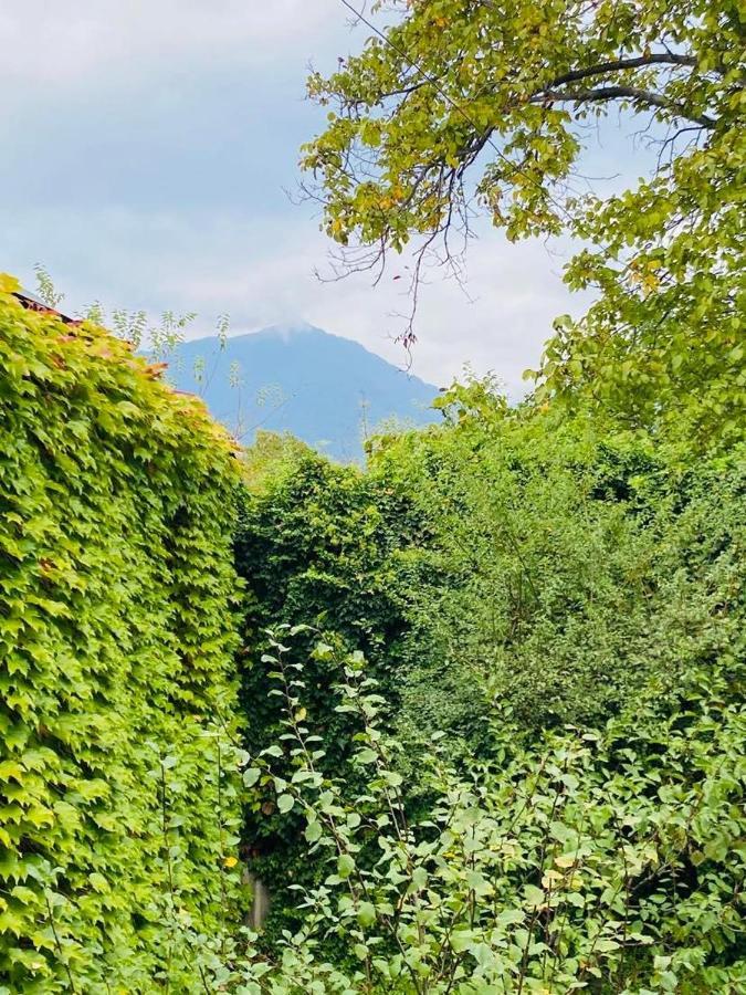 Green House Hotel Lagodekhi Exterior photo