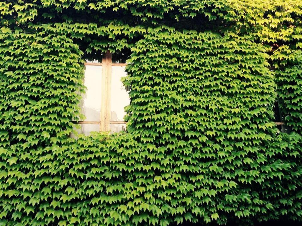 Green House Hotel Lagodekhi Exterior photo