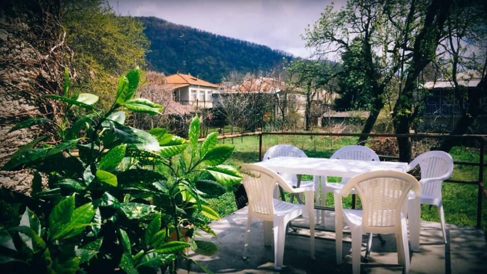 Green House Hotel Lagodekhi Exterior photo